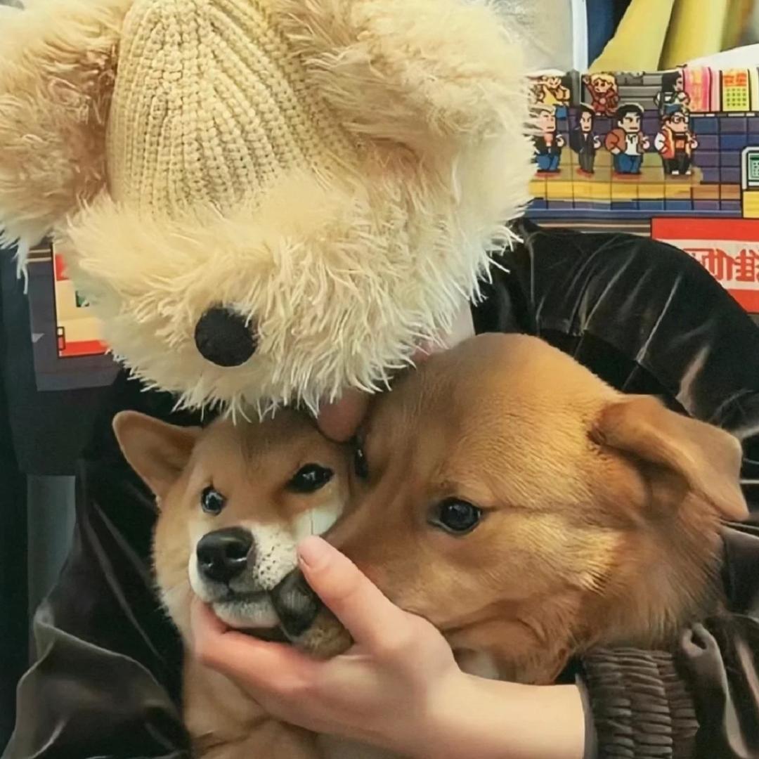Chhhh