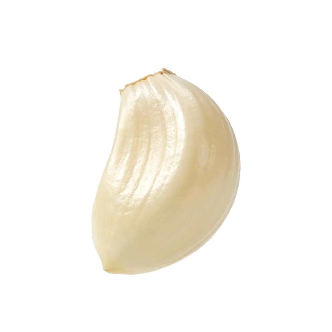 冰封白玫瑰
