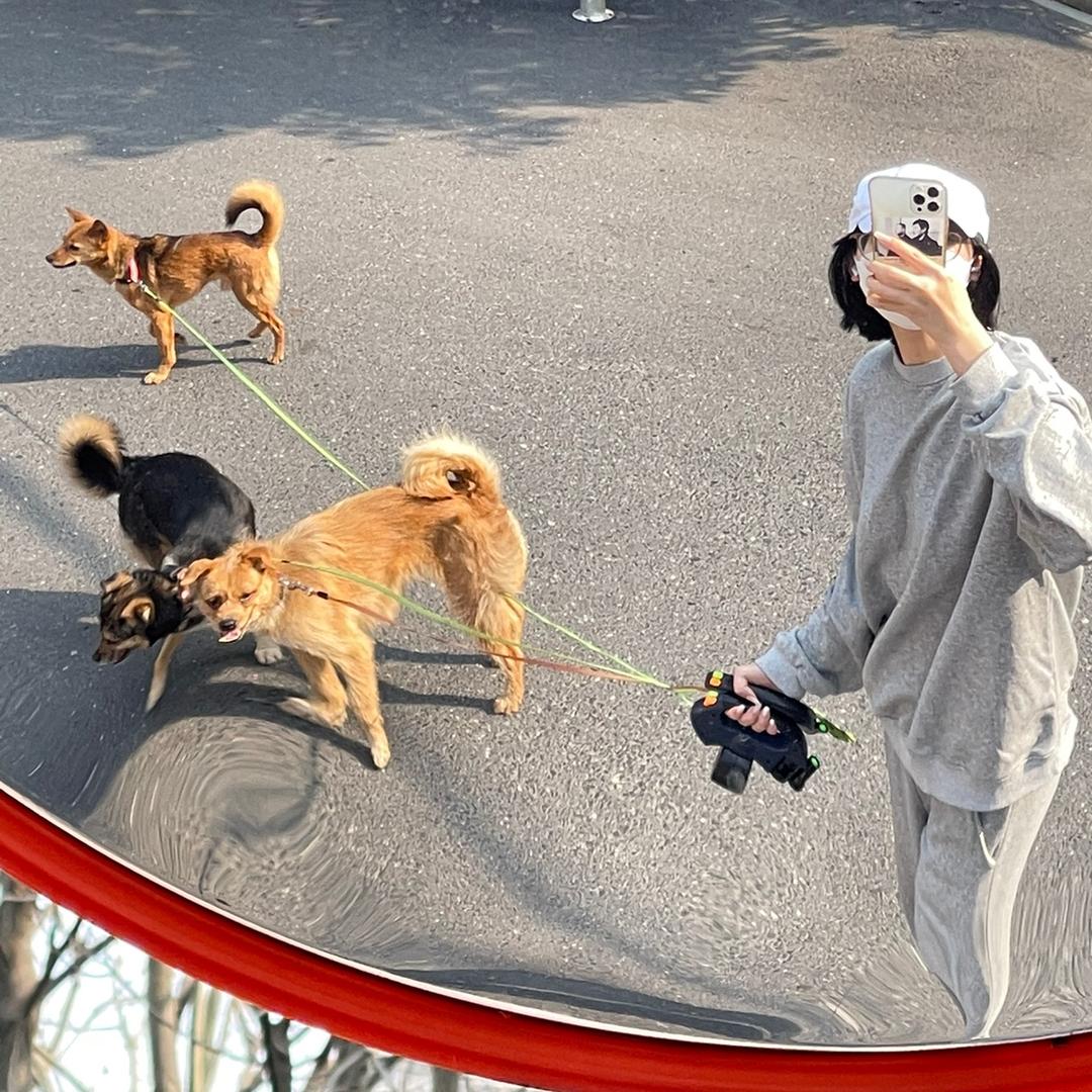 郑儿8经