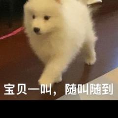 杰