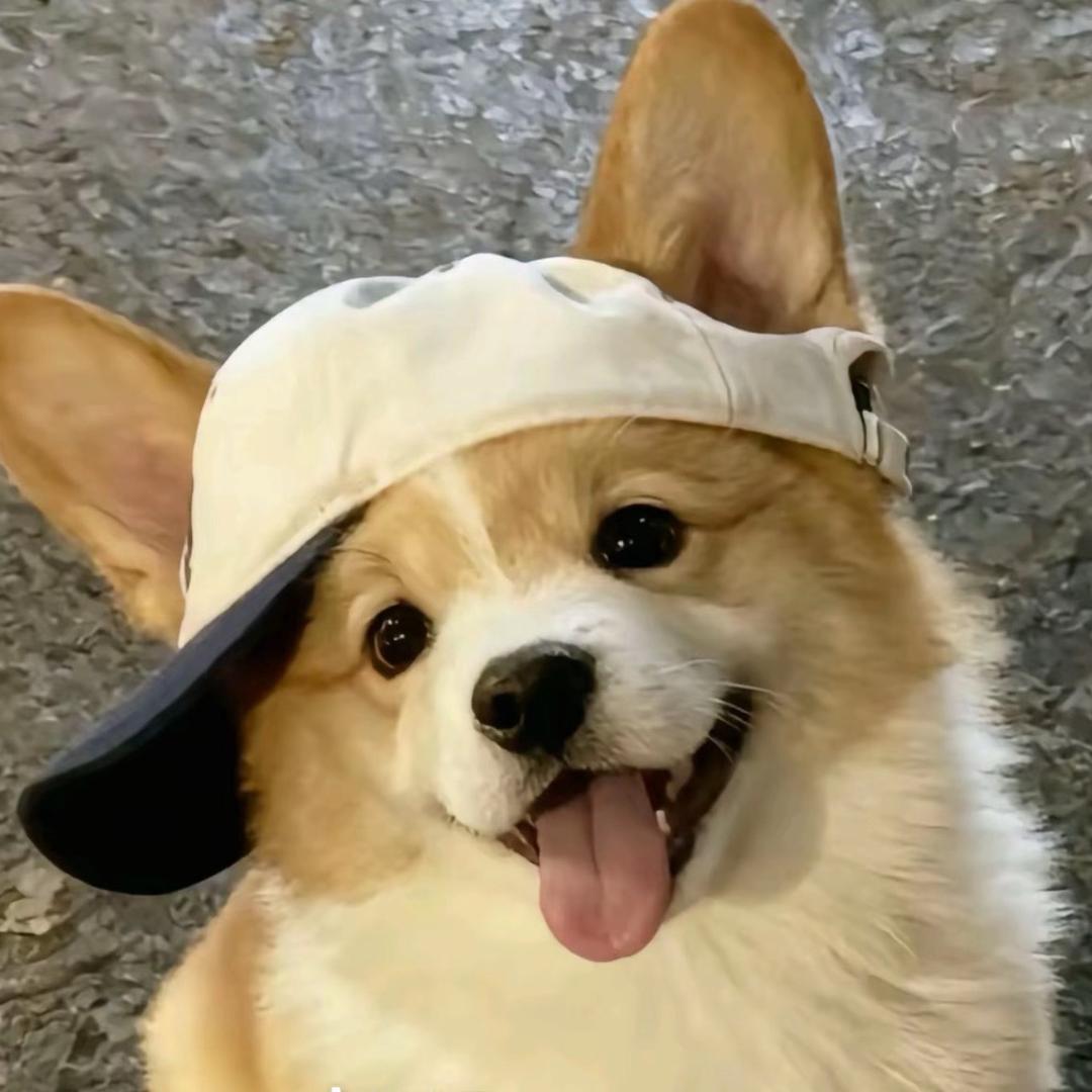 哇哦！