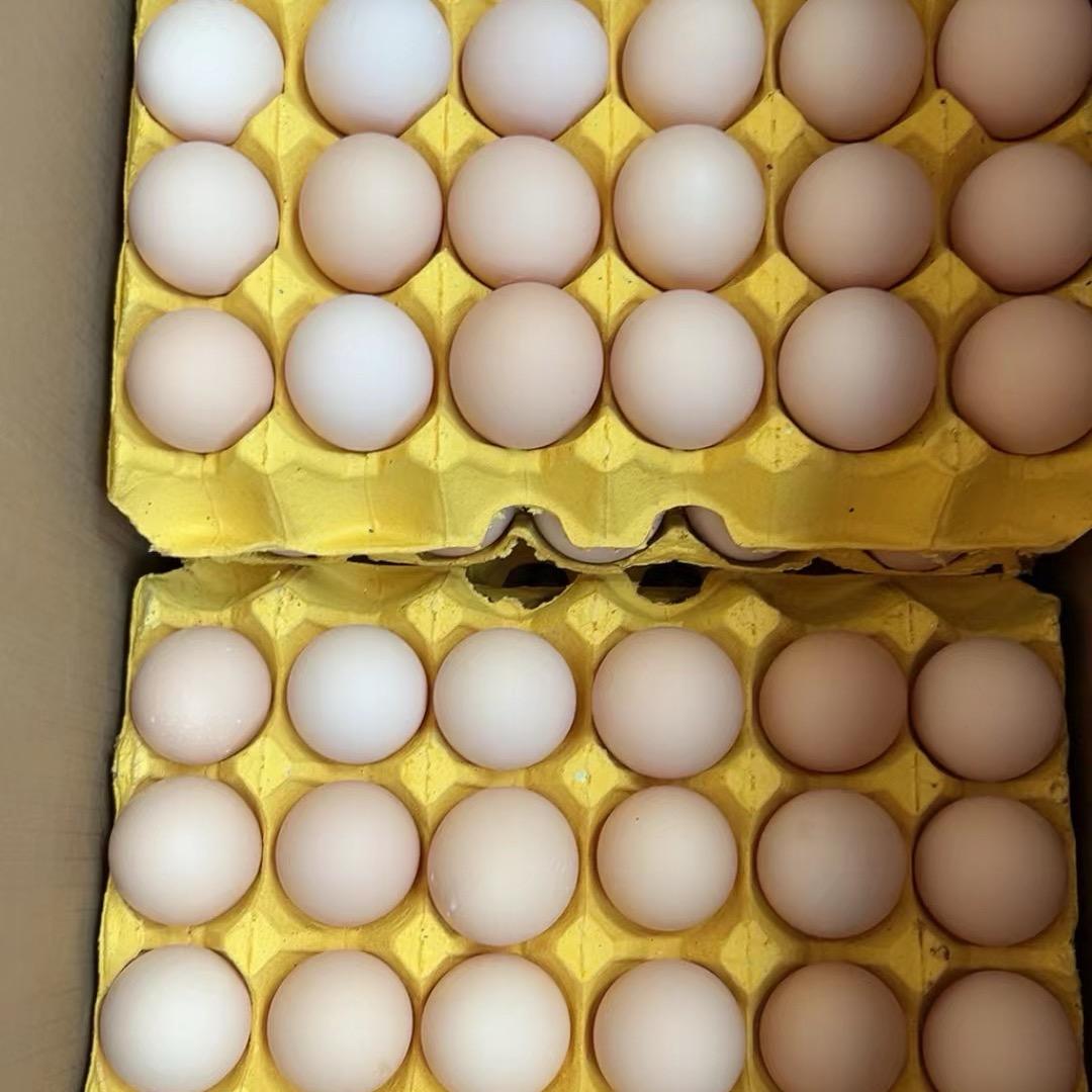 农家土鸡蛋