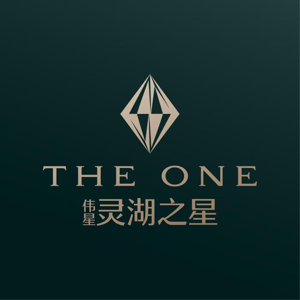 伟星-灵湖之星