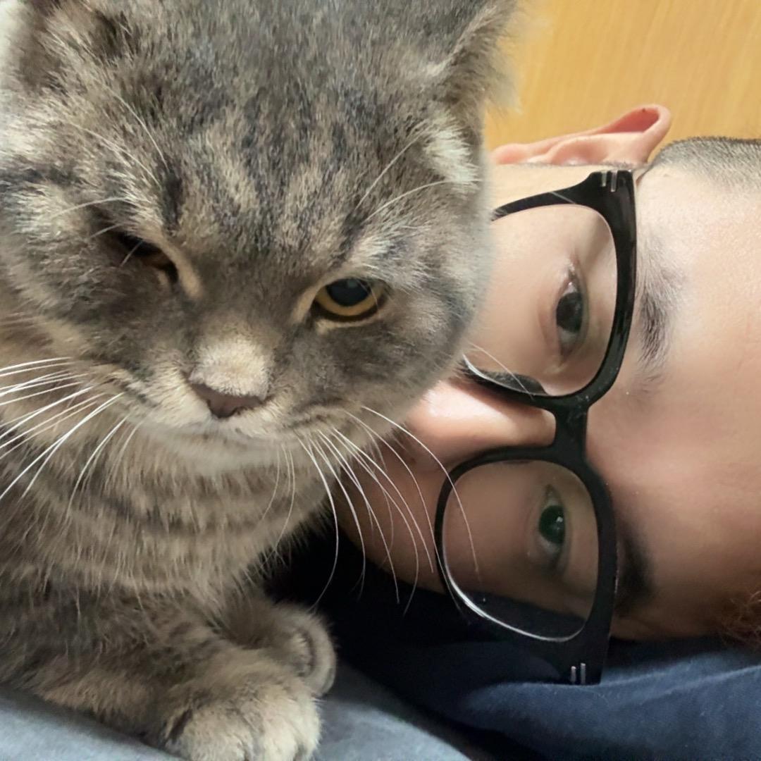 杉猫🤡