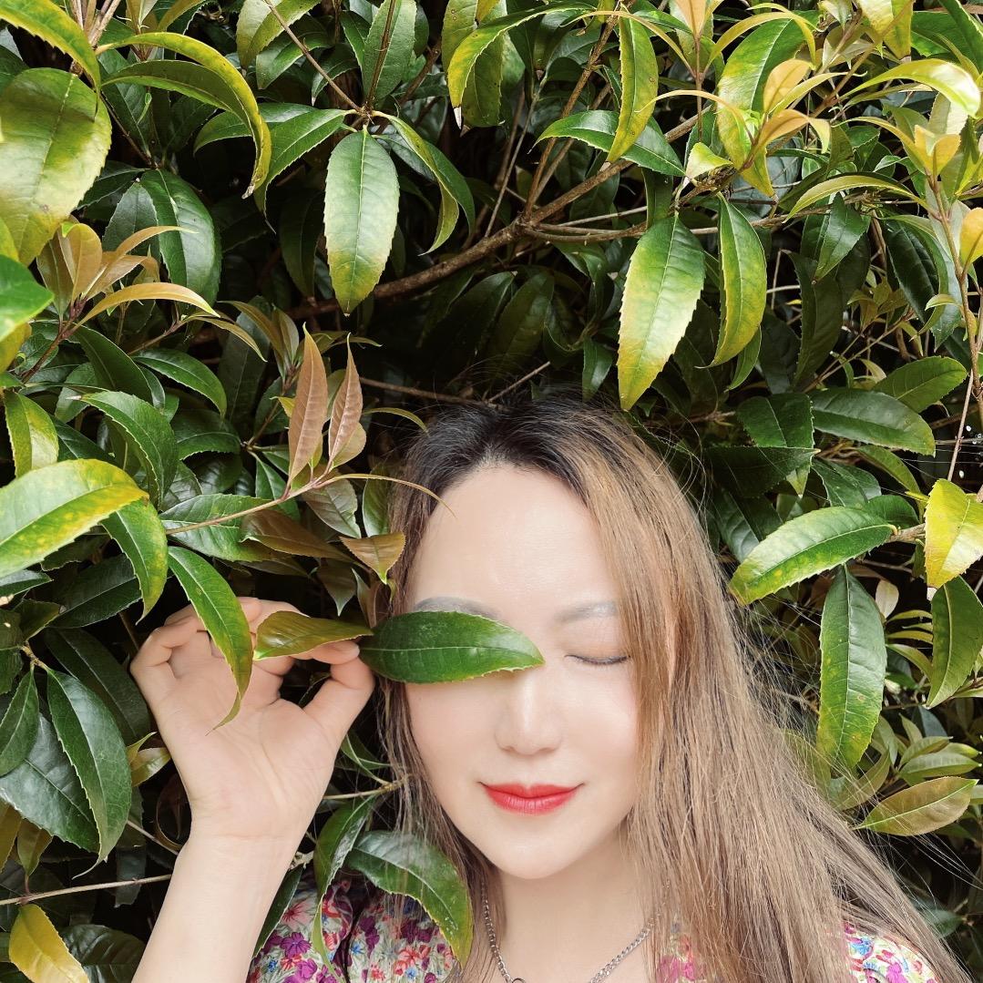 心如止水