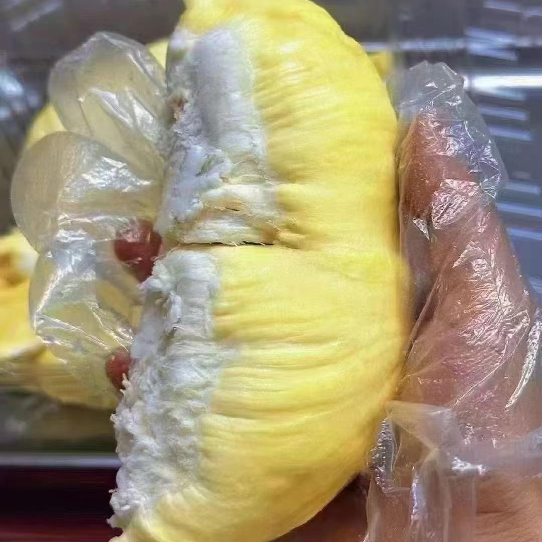 石棉榴莲哥