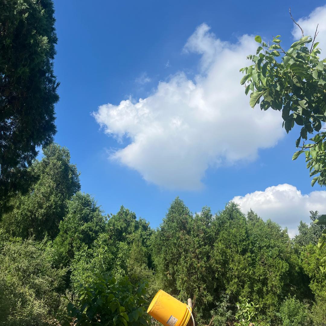 沂水大涛