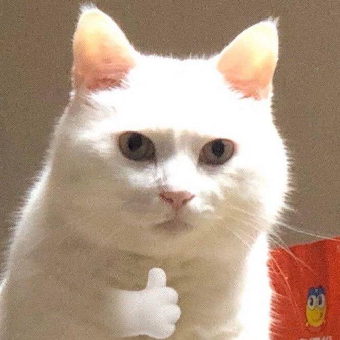诺贝尔大蒋🏆