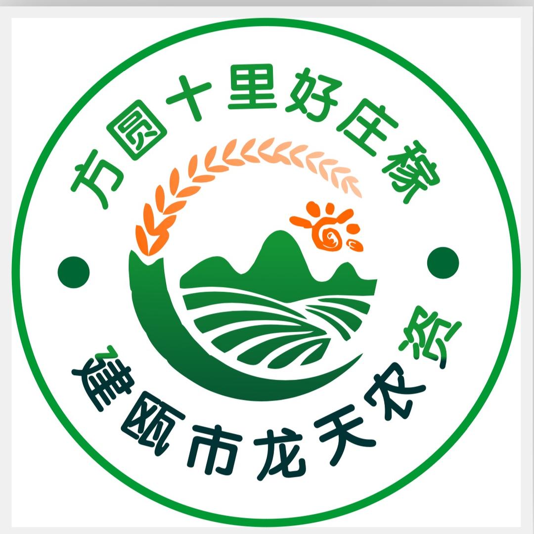 龙天农资