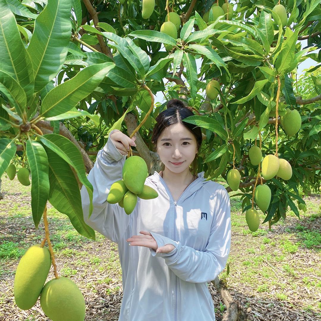 小芒主水果甄选