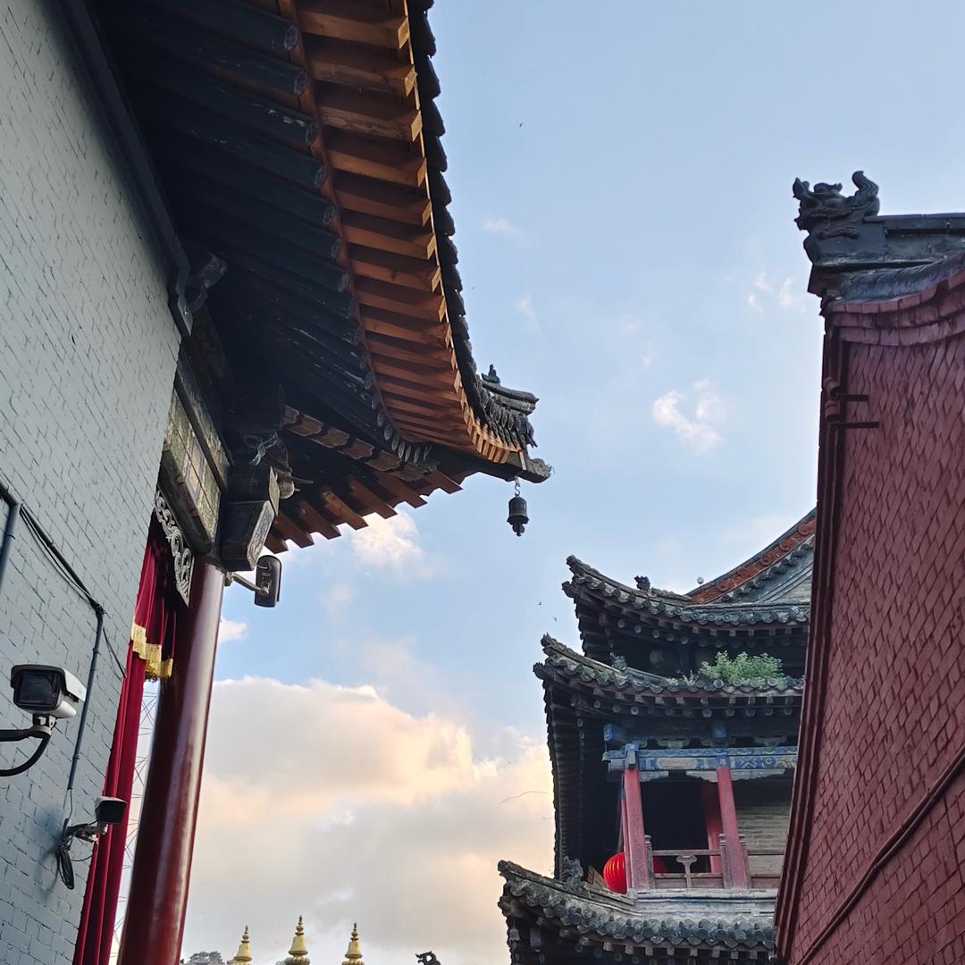 柠檬🍋剧场（同款在橱窗）