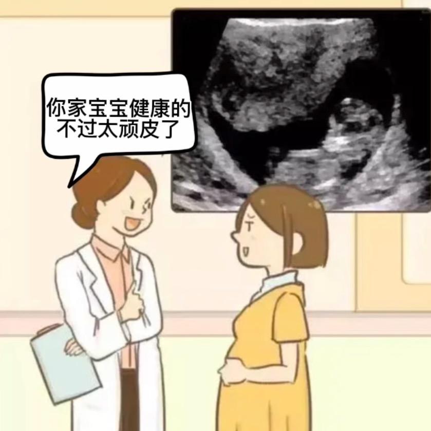 小老虎嗷呜