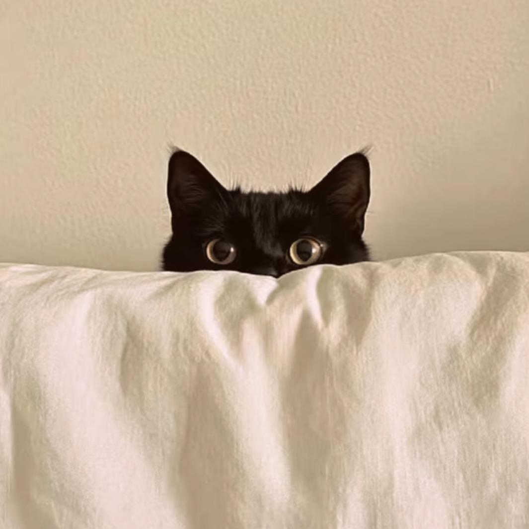 MZ..