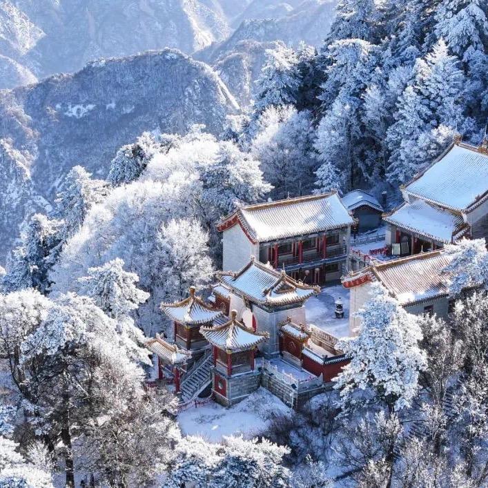 自由行天下嘟嘟