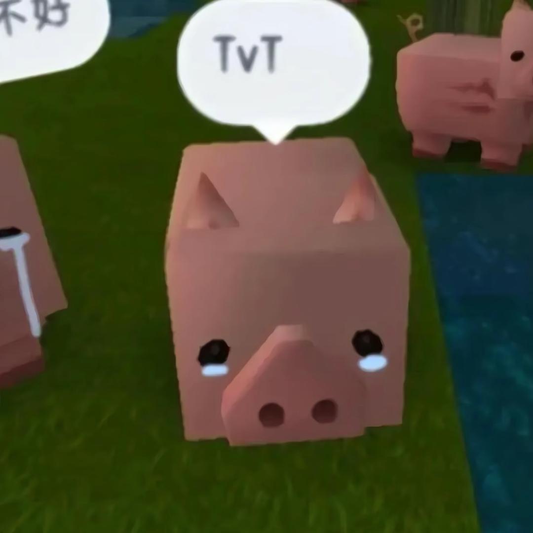 一只鱼