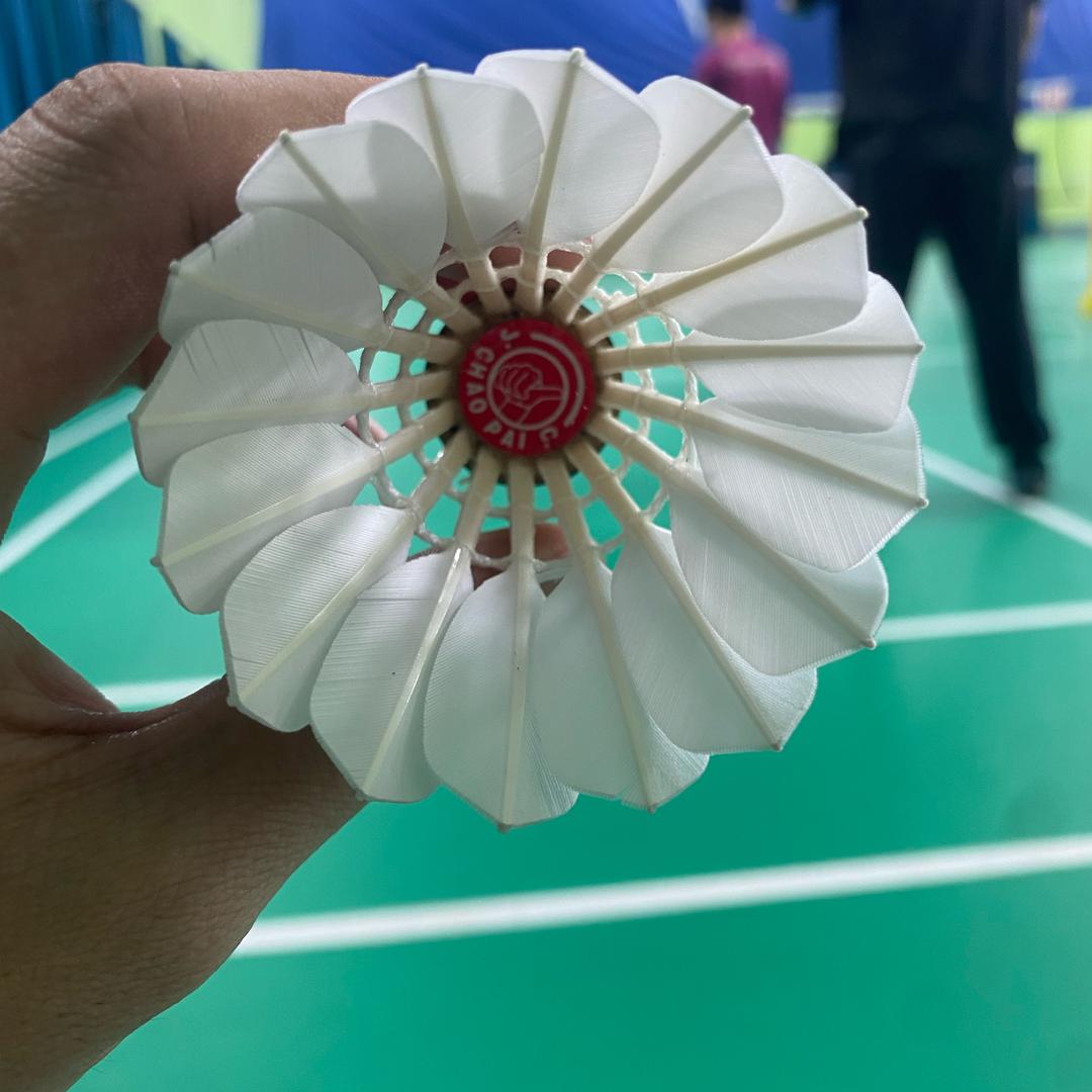 水瓶先锋🏸