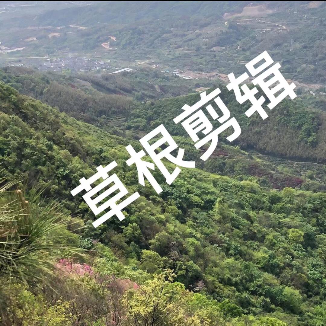 草根剪辑