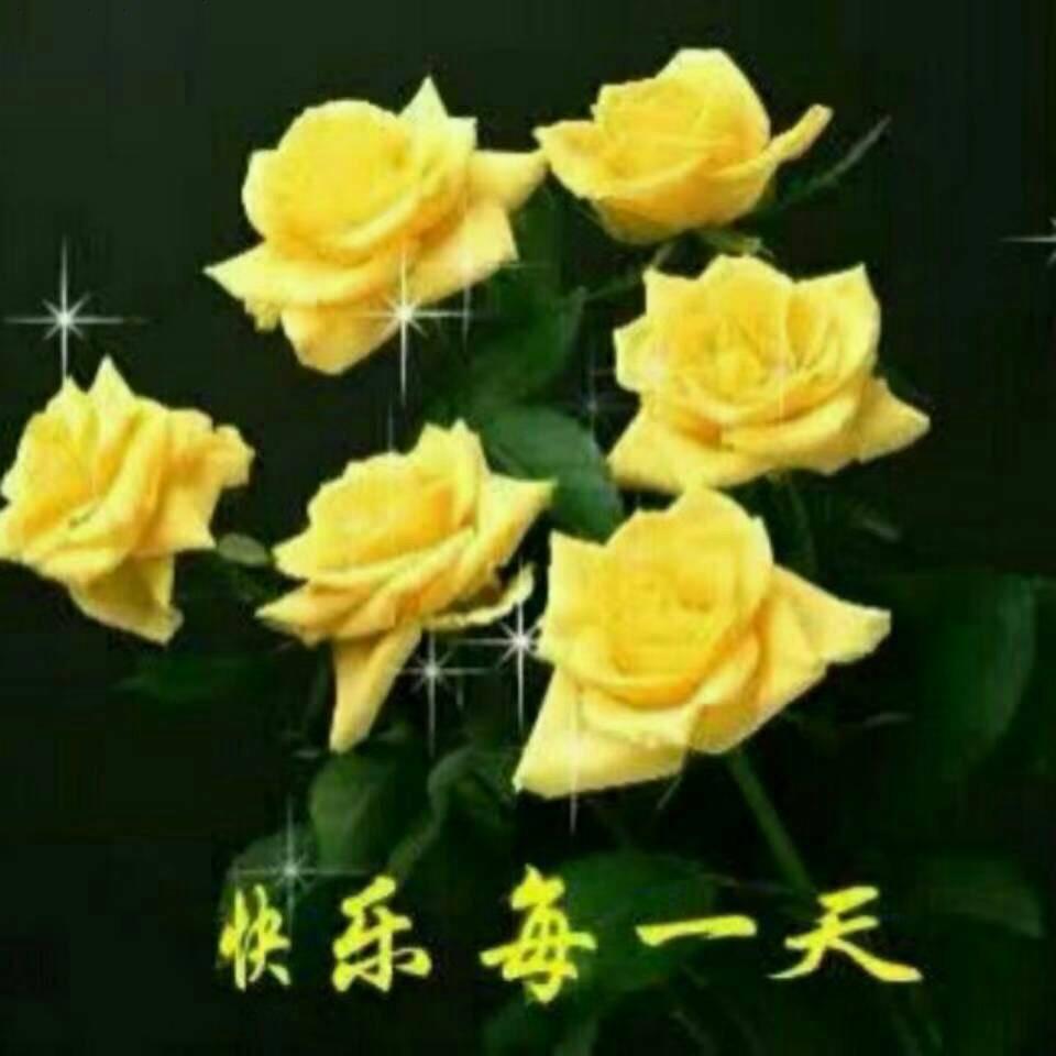 心语-