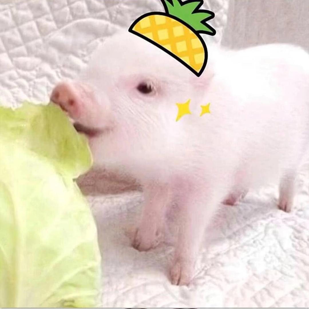小欣贴