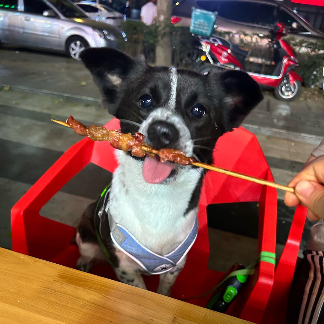 花花爱吃肉