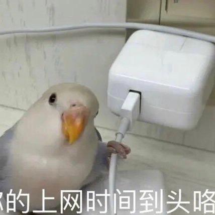 宇宙小Zz