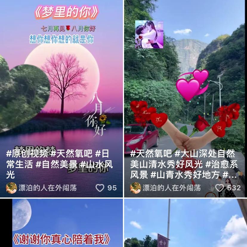 静淇