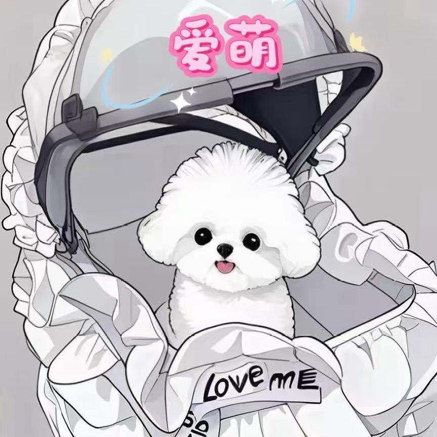 爱萌家的小比熊