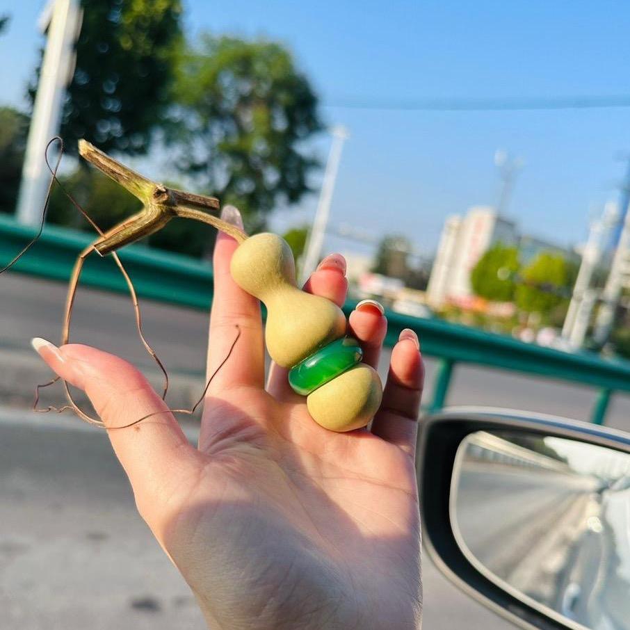 家合葫芦