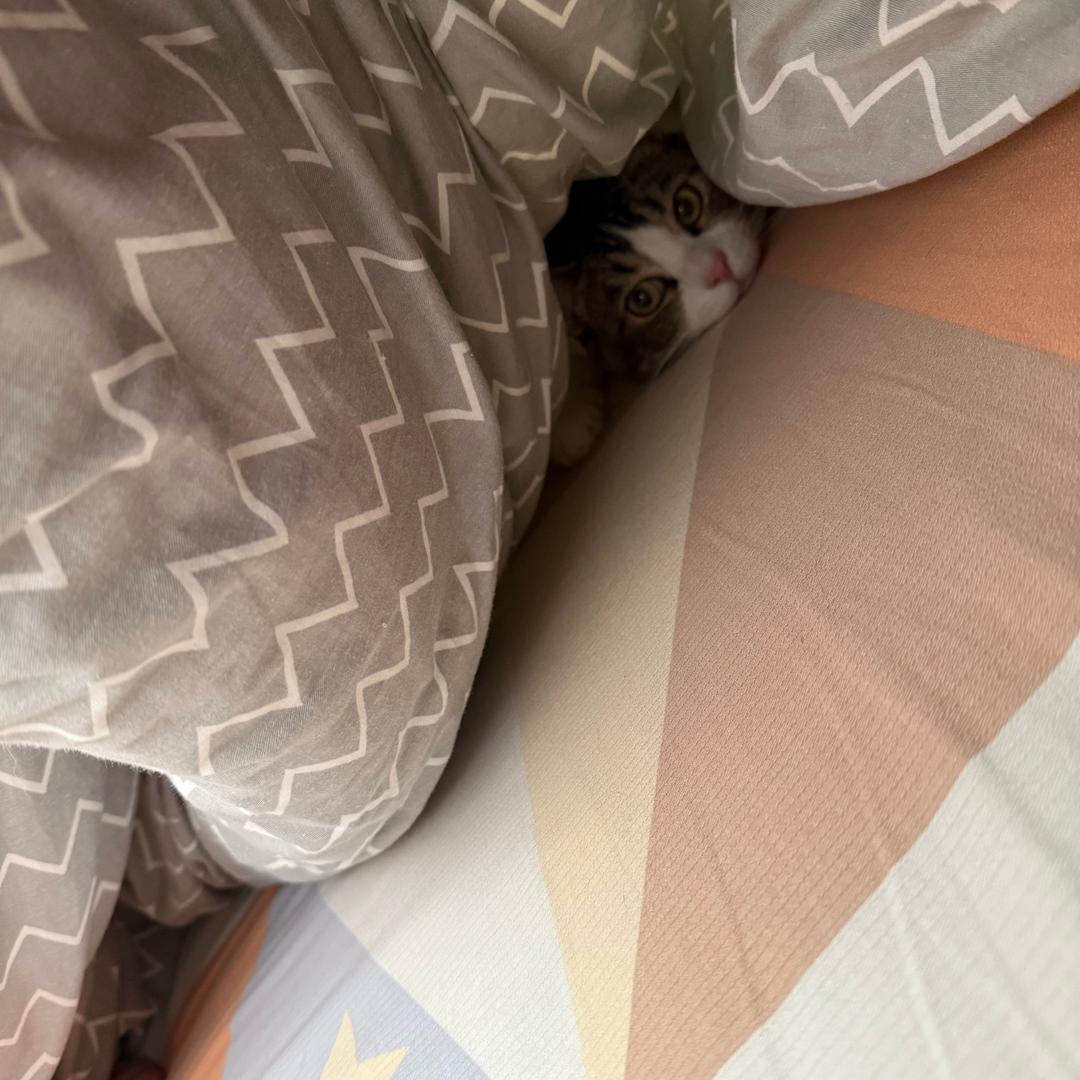 眯眼看世界