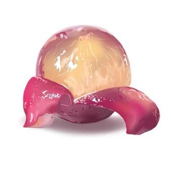 ᴡᴀɴɢᴢɪᴄʜᴇɴ