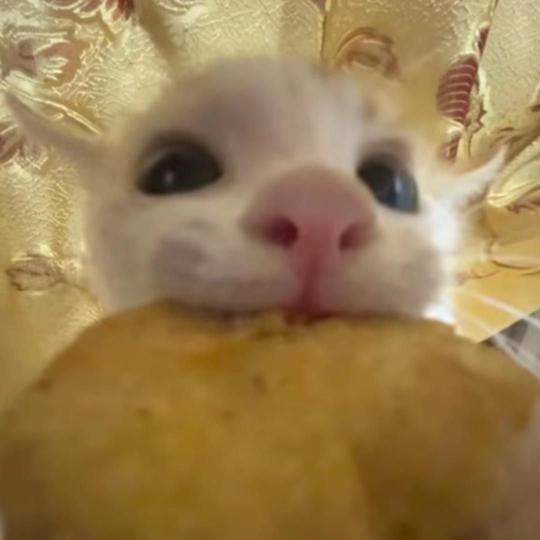 歪歪歪