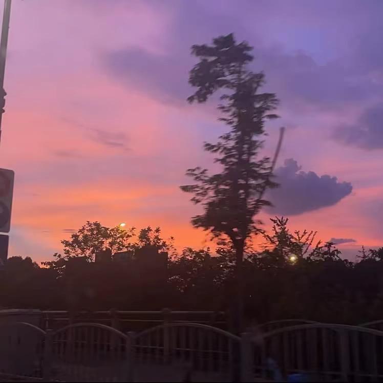 跳跳虎🔅和平精英