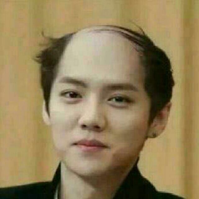 嘉毅