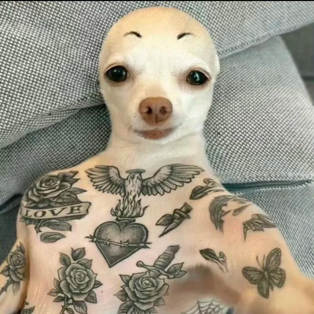 猴子大王