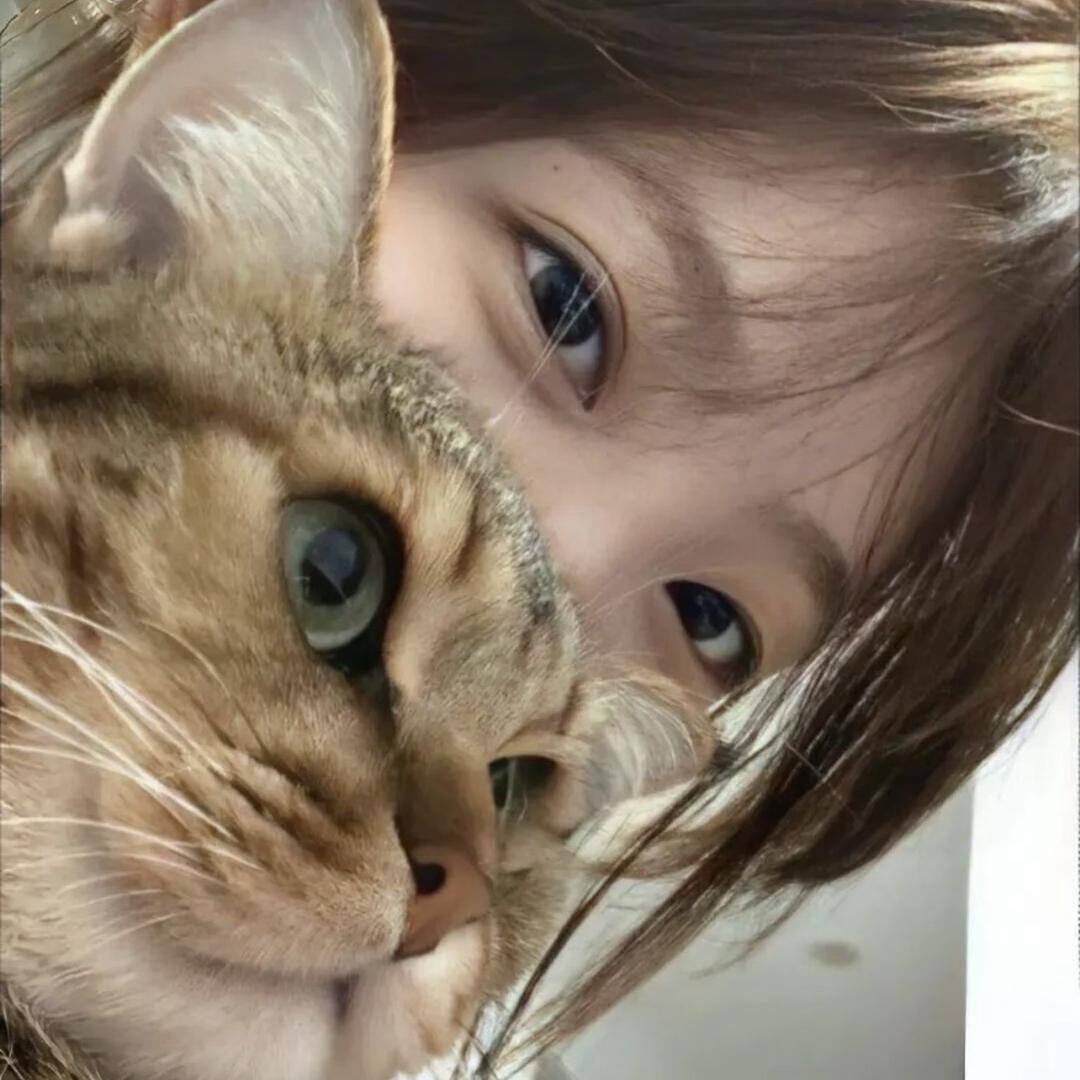lii.🌷