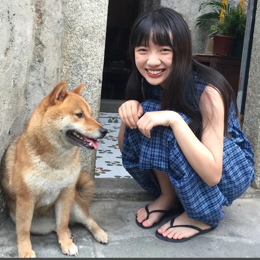 吃素的霸王龙🦖
