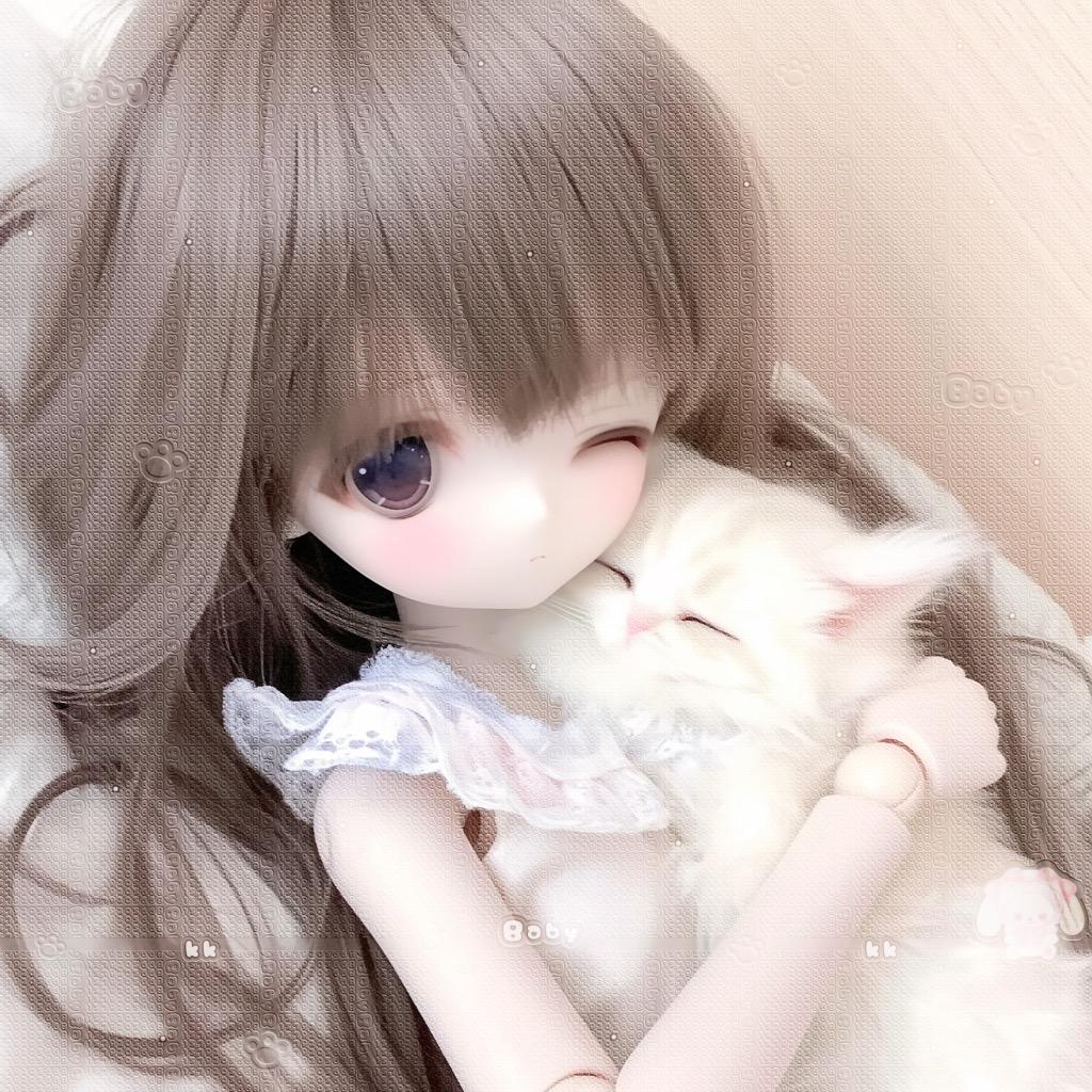 养小猫