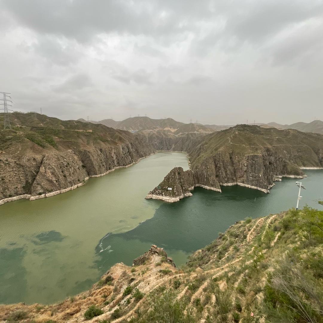 阳明山上的大熊猫