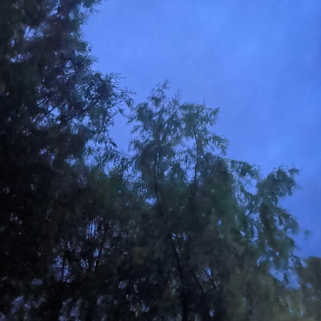 小星