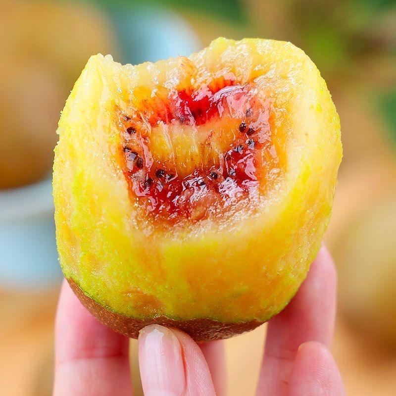 七饭饭鲜果臻选阁