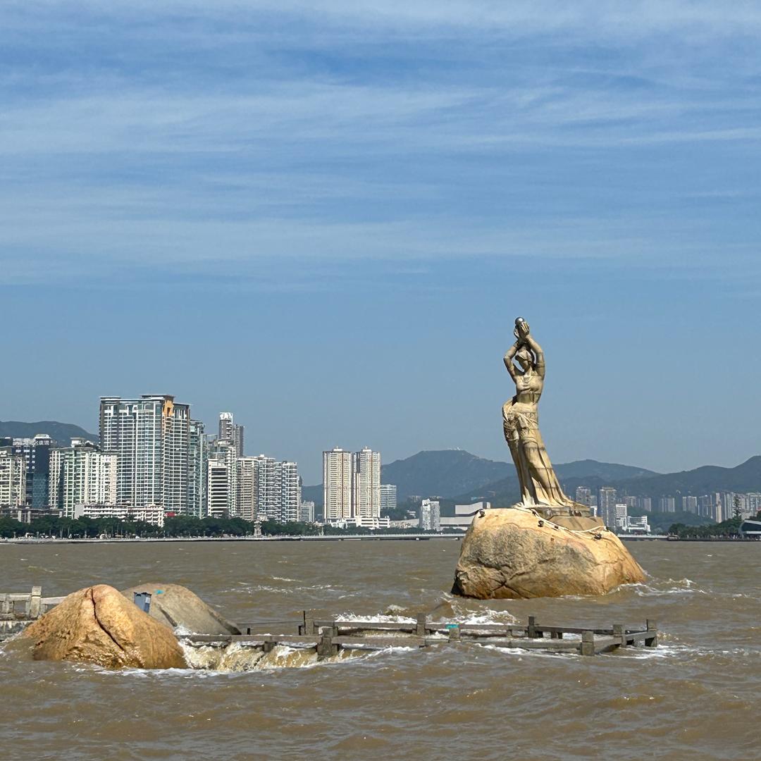身后没有参天大树《橱窗🈶️好物》