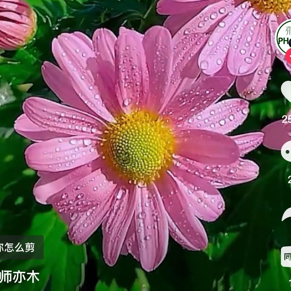 刘老根园艺