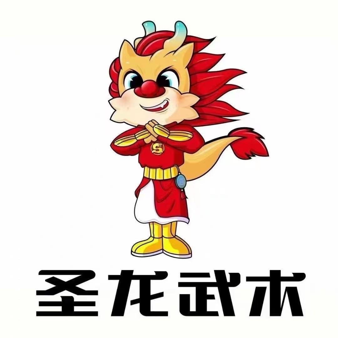 圣龙武术 曾教练