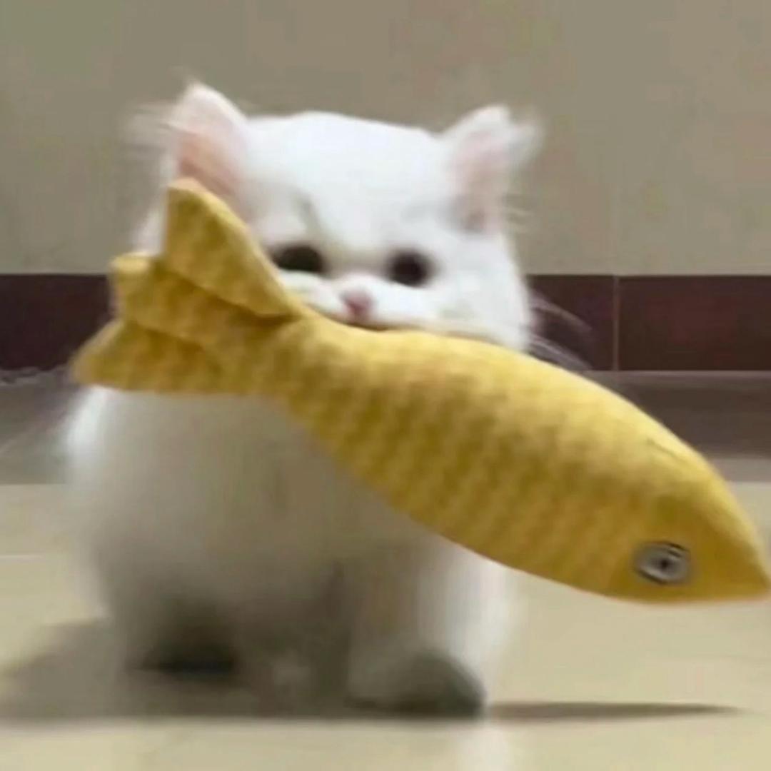 摆烂小鱼🐟