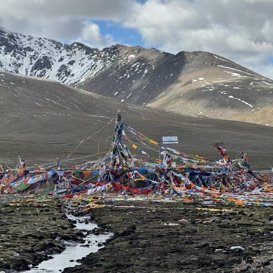 ✨麻甩佬👳‍♂️