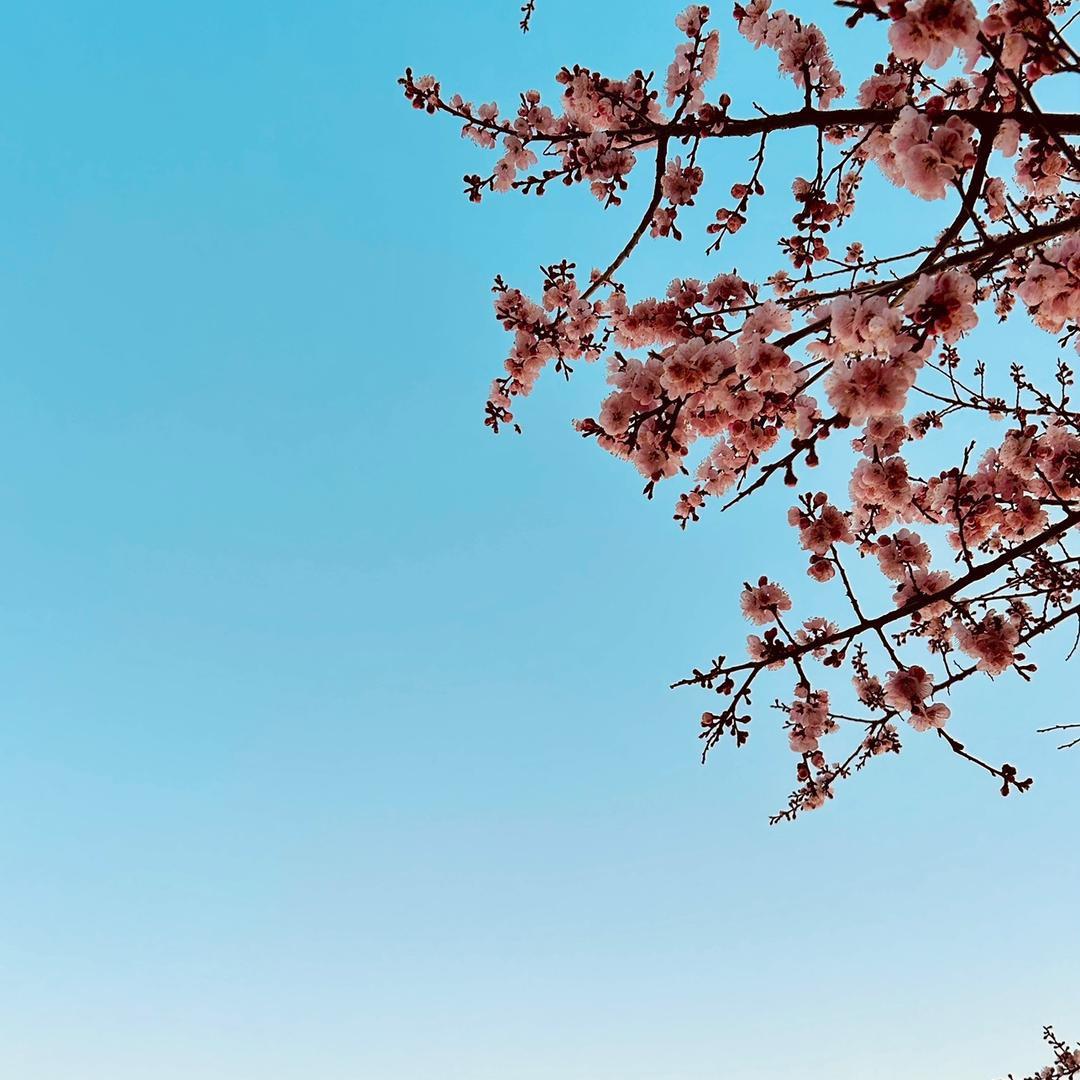 涅槃重生的女子