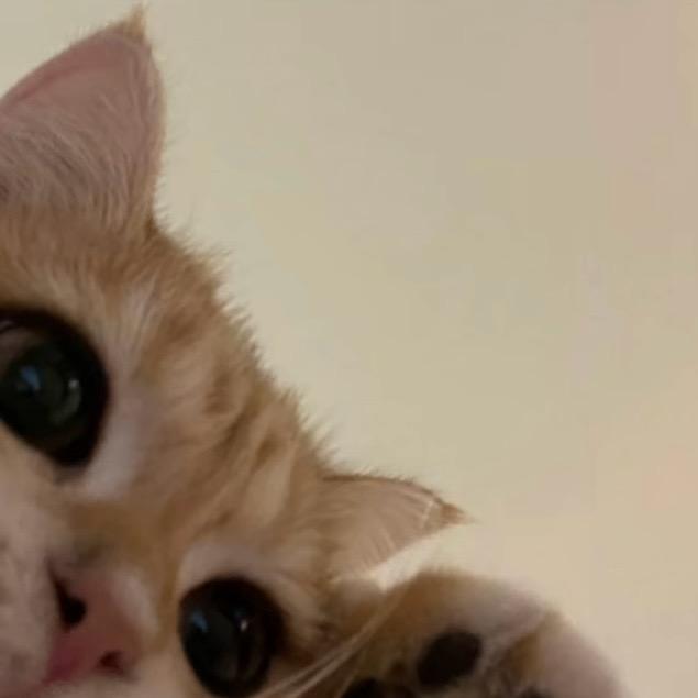 小裤角