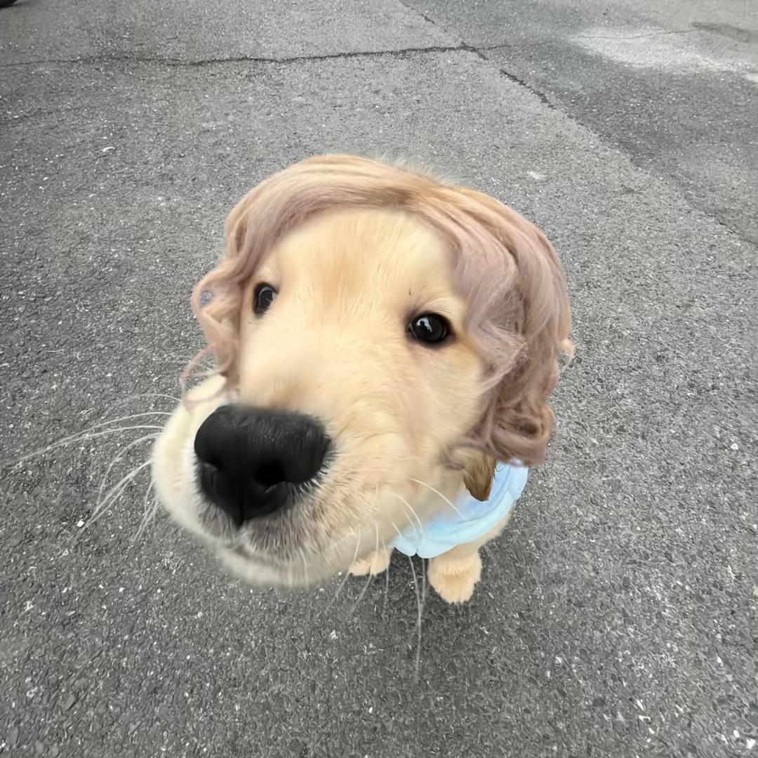 🦥 (łwäÿ)