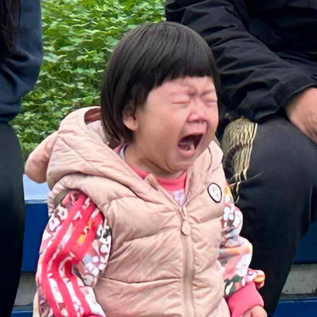 虫虫爸爸(探索溪流)
