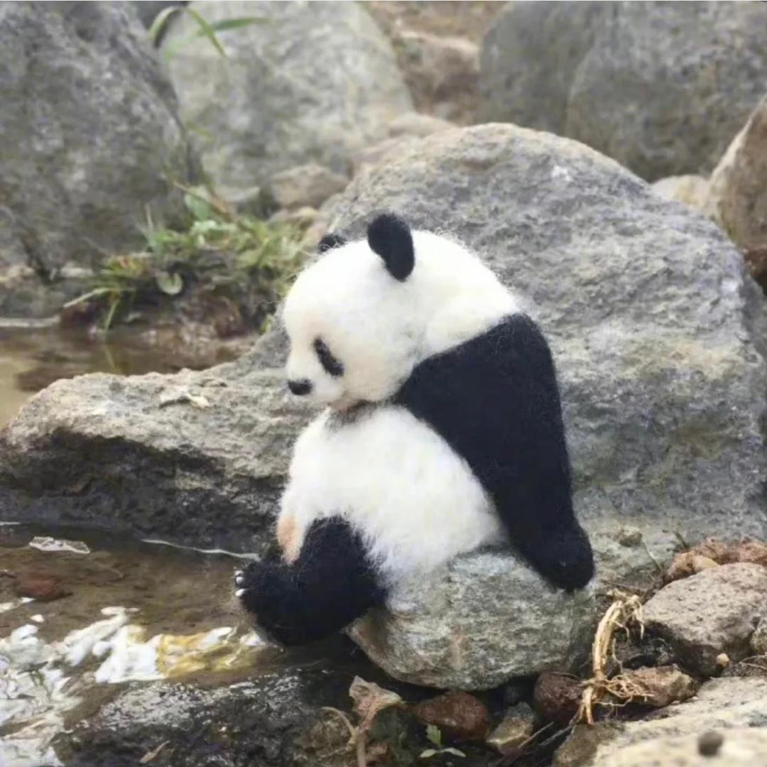🤍 春夏